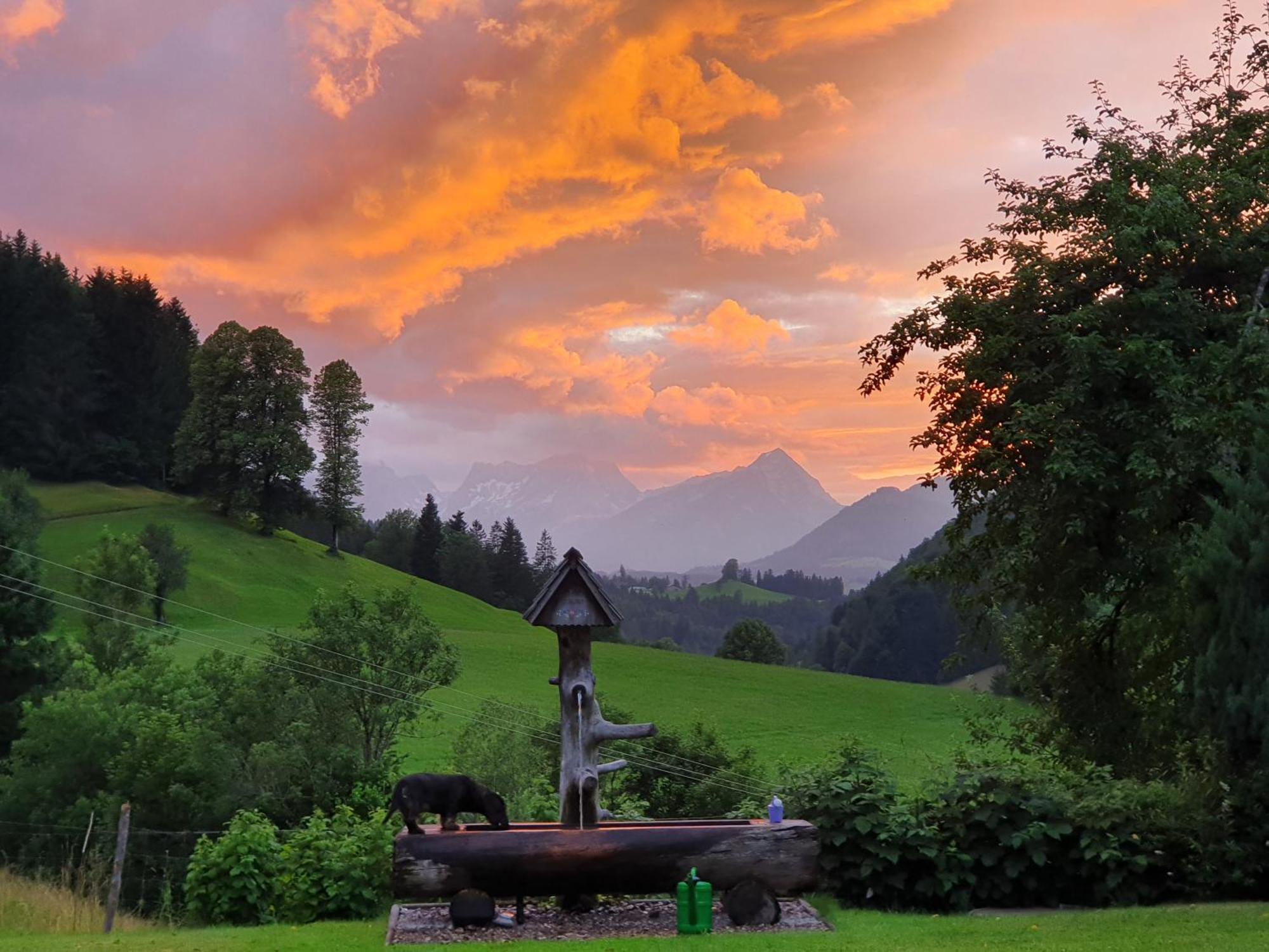 Biobauernhof Schoettelbauer Rosenau am Hengstpass Exterior foto
